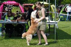 fffec742e6b80ca16ab814e80cea5faf_246x164_fill