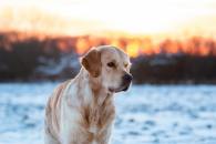 001c1d1f39e2d3b244d79865df338a06_195