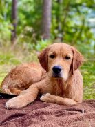 00319079570c9417273ed16525f7116b_138x184_fill