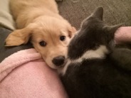 005e114f4b6cadd02f1f0f317dd8b9b5_184x138_fill