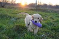 00d2e67956b3406a7fa04beefb028920_195