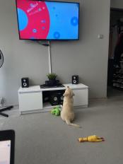 00eaf3b7f415daf512ffb9bf6ce89ed7_174x232_fill