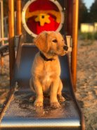 0183e2e8b4a5d39172480d9e627c77be_138x184_fill