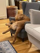 01a9d1dc8e55ecc76f4d407b68bf992b_138x184_fill