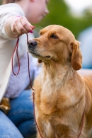 021effef716b2213116d5d24f85dfd0a_130x195