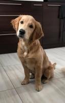 0289aa77db1ca915d67d61bf6d796658_128x201