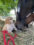 0342640b42ac9e08efcf96407d973c98_138x184_fill