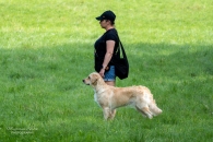 0370830f03cc40b4744756fafba35fde_195