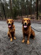 03c59a538465aa5c5493c9cbafd86602_138x184_fill