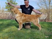 03c8e9a94d5b76048fbb50c318ccae4c_184x138_fill