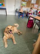 03eddbe839afa8480153b998147ad9e7_138x184_fill