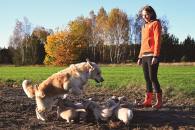 044be2d1c78bd85cb631adaf7803194c_195