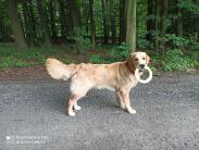 0458f8ab036b560267ea450793a69be2_183