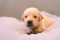 04ba00474e58cb1641c8e23876ede447_195