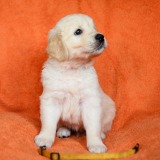 053beb996a0ea2b0a51aaa6de658c710_160x160_fill