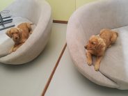 0560021cd8618dcf0d53b360edfdef28_184x138_fill