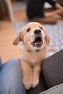 058ae8b64b747a1705d06ab1e4183a13_130x195