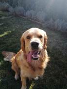 059e78f3dec2bedb64deff917e4765fc_138x184_fill