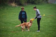 05e00127777a4b9d6f756247d5df809a_194