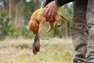 063885f2c803f921ff1a94e60619bcc1_195x130_fill