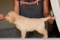 0645490522484f034a68ea186907041b_195