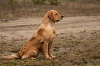 06b59752da7fc59c629d36eb1abcfed6_195