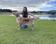 06cee2b6f0f665cbedbb75e0063269db_182