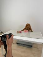 06fc92e4bc077b46c15e22812e6f4b4c_138x184_fill