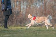 071f94121076866052c9b89787ae5341_195x130_fill