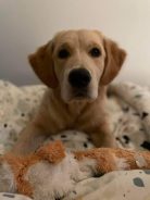 072b0e37479c843135f5dc2619eaa779_138x184_fill