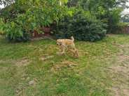 076f0a9224d03228b247761eb8c96f29_184x138_fill