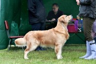 07b0d419246b5a1711551c775c8f6d7f_194