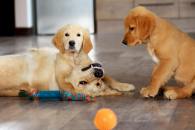 081c1354f6249d75e7c5c6eb0238cb34_195