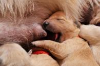 082afebbe9e4d5d5f3b1c5a8321651db_195x130_fill