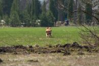 083143833bc4d7591666f8a4db2717ed_195