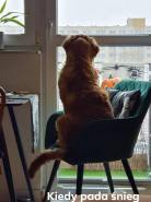 086903b971456d1984b57b886ce6027f_138x185