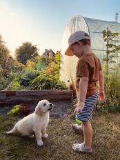 08815919e14a227e8acc42724b718ad1_174x232_fill