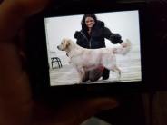 091d227d44560d89c9f6f93ab934e717_184x138_fill