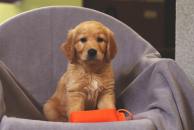 093d4a25f02e19ee0d42e3746f2ccde6_194