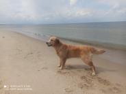 096261603094c7dcd4792c478a9e12f2_184x138_fill