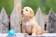 09e71bb70ba4389d1fc6358d6a2223c2_195x130_fill