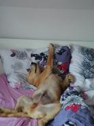 0a2f1d34233eba8df9b6e9d5623ed339_138x184_fill