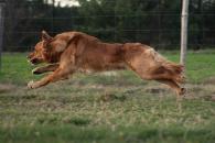 0a50e40ae04efcb667562a3d8a5e6321_195x130_fill