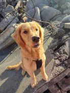 0a52568b7c1dab14029243d9c1e3b6c9_138x184_fill