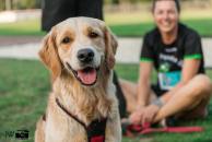 0a7409e238eb9f19aca1aef92d55b192_194