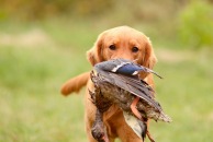 0ad0b02f98f653d34fbcc82212da89a3_194