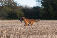 0b322bcfa96292f0b157235c920778fe_194