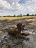 0b50867150a3821323216323a7c3a35d_138x184_fill