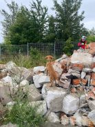 0c7df96695de53e5605e9a7ca98882dc_138x184_fill