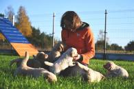 0ca4e9ceebb35baf83a9955ca502e472_195